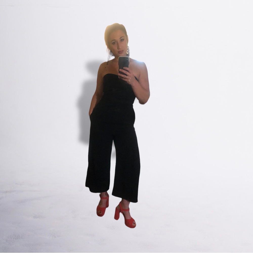 Aritzia Babaton jumpsuit